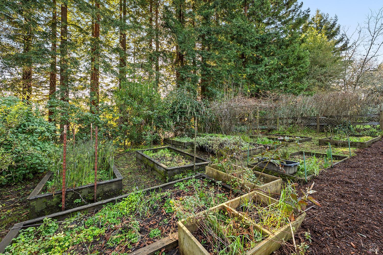 Detail Gallery Image 41 of 69 For 1417 Deer Ln, Sebastopol,  CA 95472 - 4 Beds | 2/1 Baths