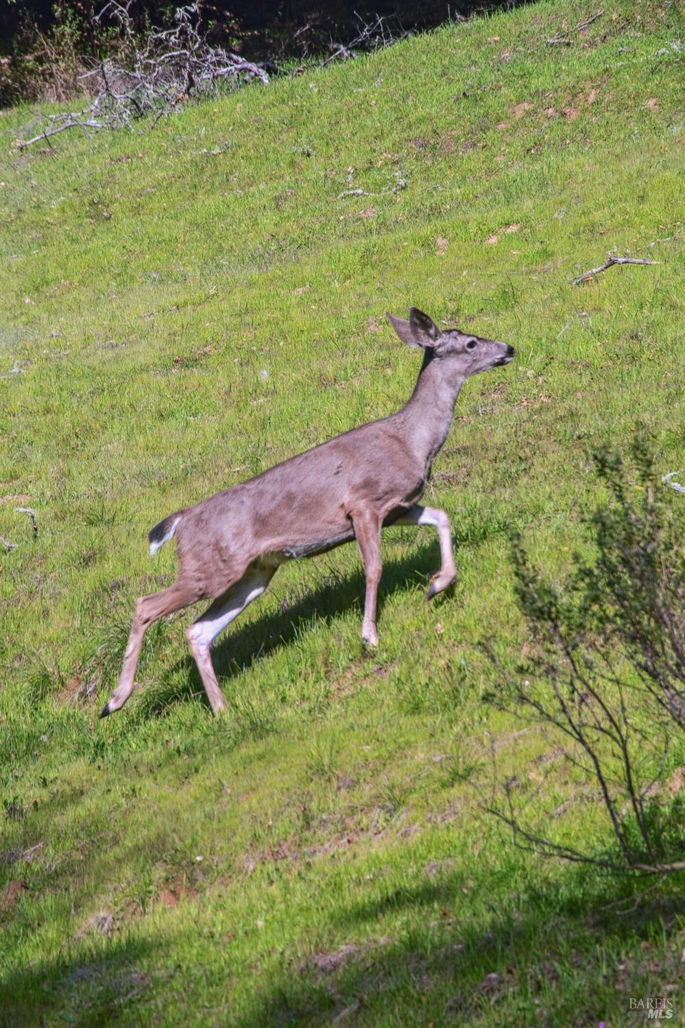 Detail Gallery Image 63 of 63 For 11 Badger Ct, Novato,  CA 94949 - 4 Beds | 3 Baths