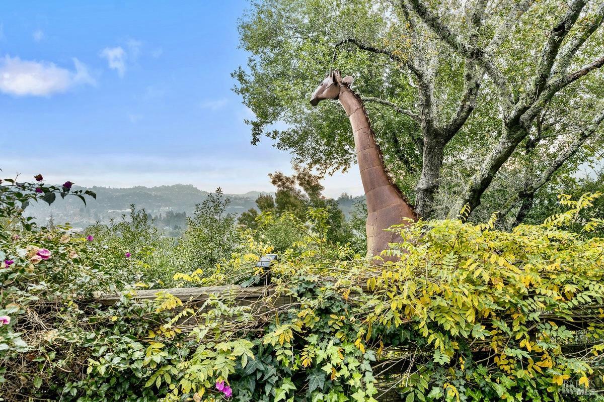 Detail Gallery Image 46 of 60 For 223 Evergreen Dr, Kentfield,  CA 94904 - 5 Beds | 4 Baths