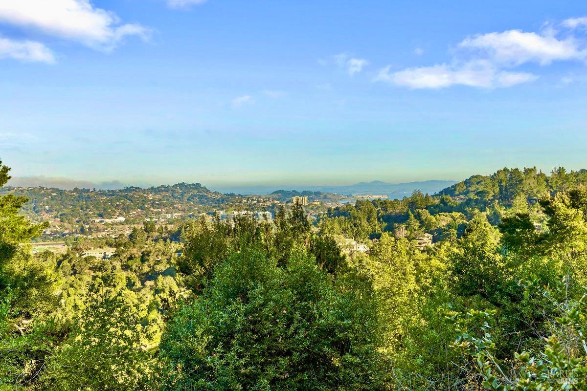 Detail Gallery Image 7 of 60 For 223 Evergreen Dr, Kentfield,  CA 94904 - 5 Beds | 4 Baths