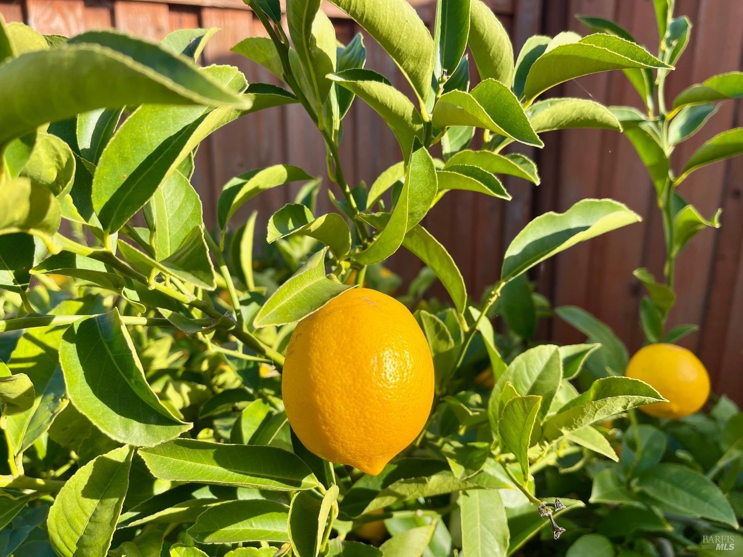 Detail Gallery Image 27 of 28 For 1844 Stockbridge Dr, Fairfield,  CA 94534 - 5 Beds | 4 Baths