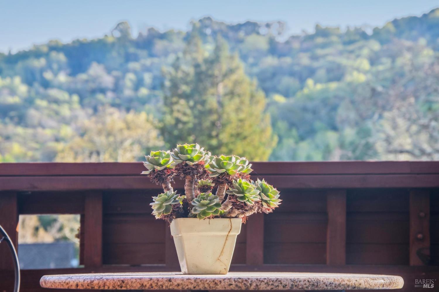 Detail Gallery Image 46 of 63 For 11 Badger Ct, Novato,  CA 94949 - 4 Beds | 3 Baths