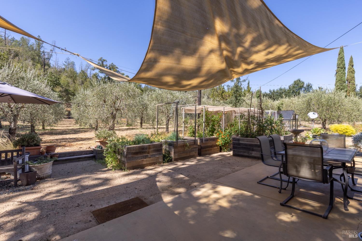 Detail Gallery Image 41 of 48 For 601 Rossi Rd, Saint Helena,  CA 94574 - 3 Beds | 2/1 Baths