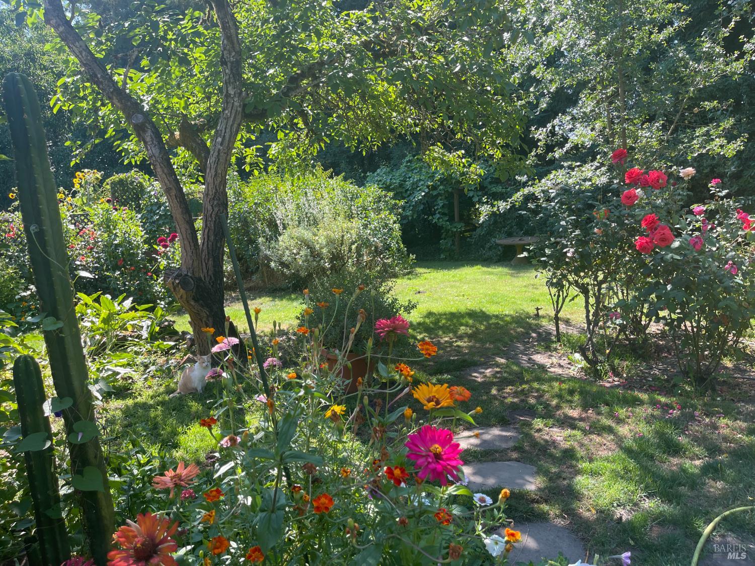 Detail Gallery Image 49 of 69 For 1417 Deer Ln, Sebastopol,  CA 95472 - 4 Beds | 2/1 Baths