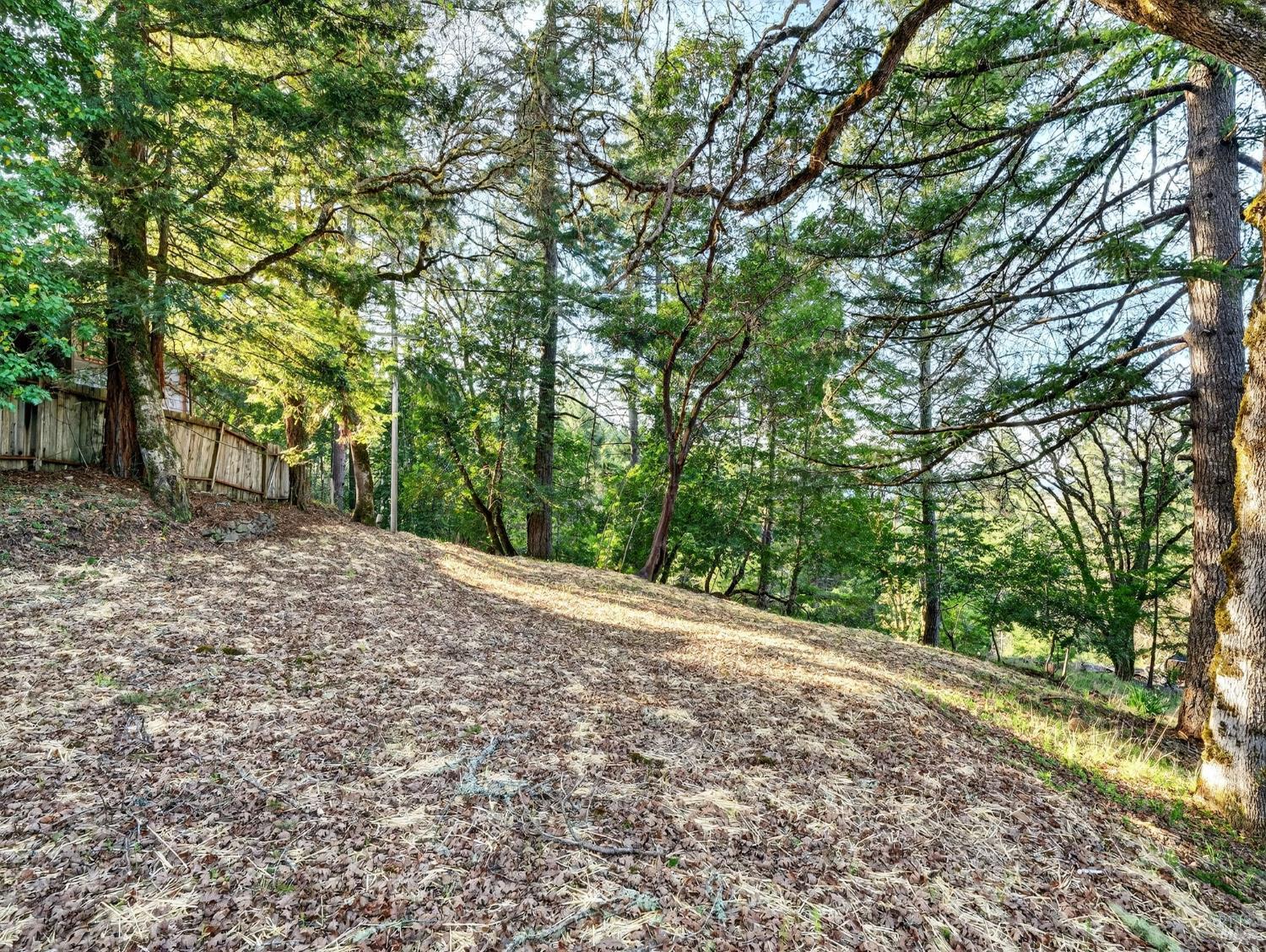 Detail Gallery Image 42 of 52 For 10701 Orr Springs Rd, Ukiah,  CA 95482 - 2 Beds | 1 Baths