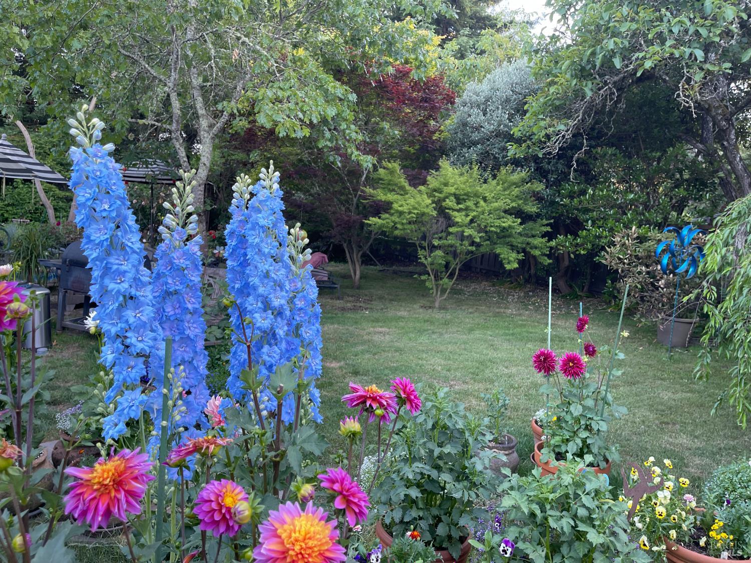 Detail Gallery Image 55 of 69 For 1417 Deer Ln, Sebastopol,  CA 95472 - 4 Beds | 2/1 Baths