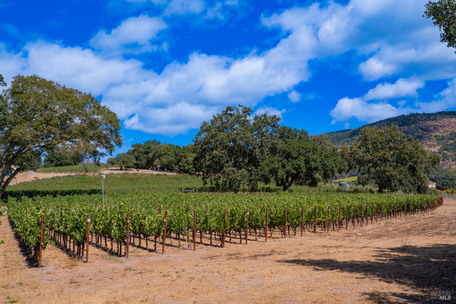 Detail Gallery Image 28 of 30 For 4094 E 3rd Ave, Napa,  CA 94558 - 4 Beds | 2 Baths