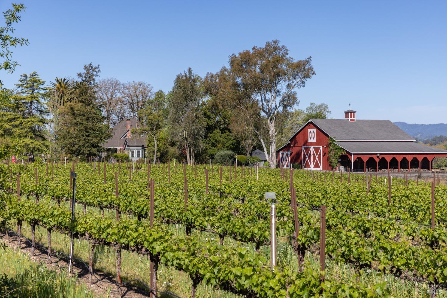 Detail Gallery Image 4 of 59 For 2875 Woolsey Rd, Windsor,  CA 95492 - 5 Beds | 4 Baths