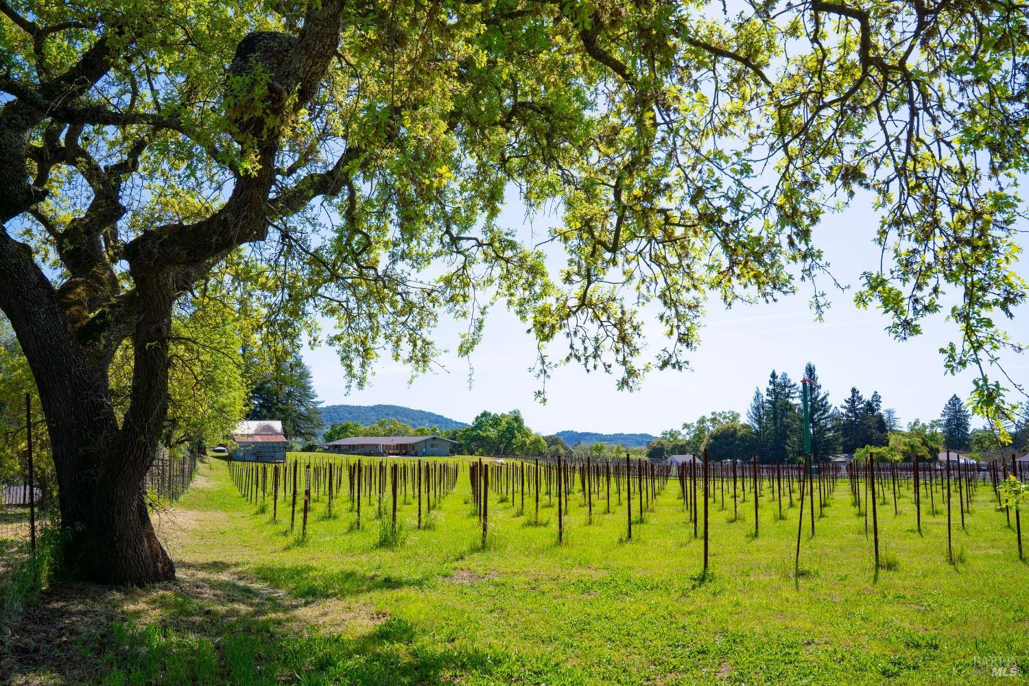 Detail Gallery Image 27 of 30 For 4094 E 3rd Ave, Napa,  CA 94558 - 4 Beds | 2 Baths