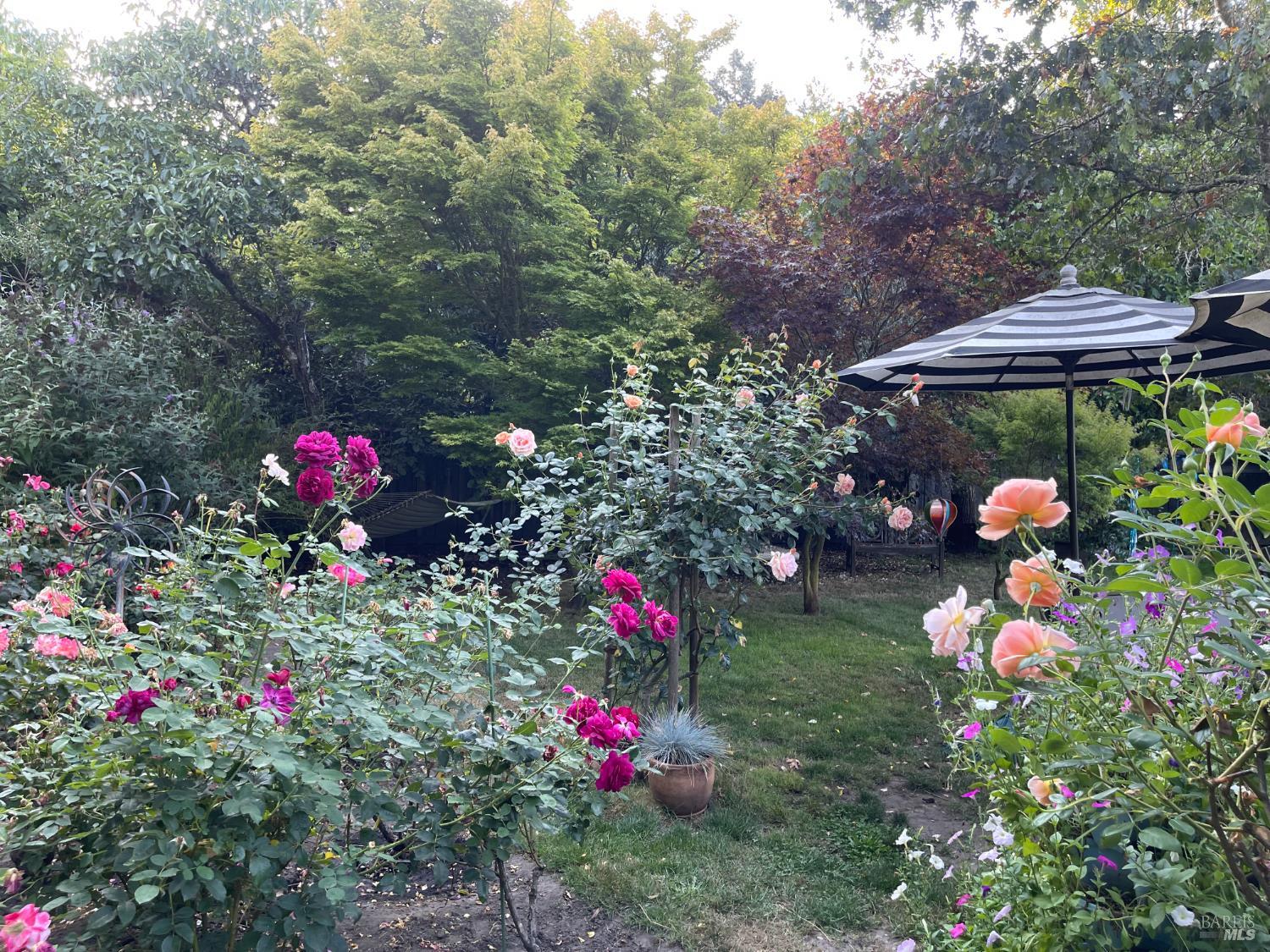 Detail Gallery Image 51 of 69 For 1417 Deer Ln, Sebastopol,  CA 95472 - 4 Beds | 2/1 Baths