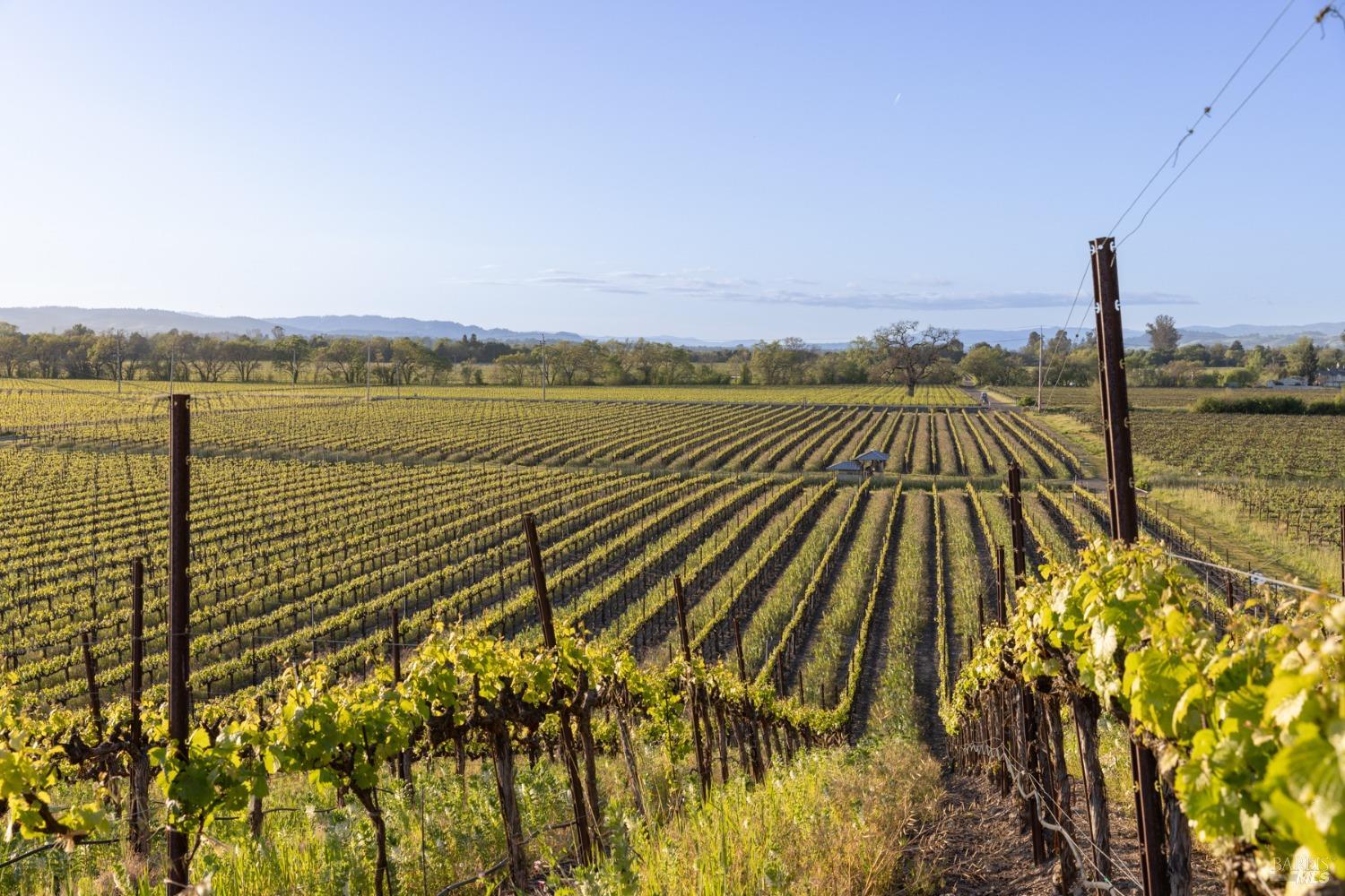 Detail Gallery Image 43 of 59 For 2875 Woolsey Rd, Windsor,  CA 95492 - 5 Beds | 4 Baths