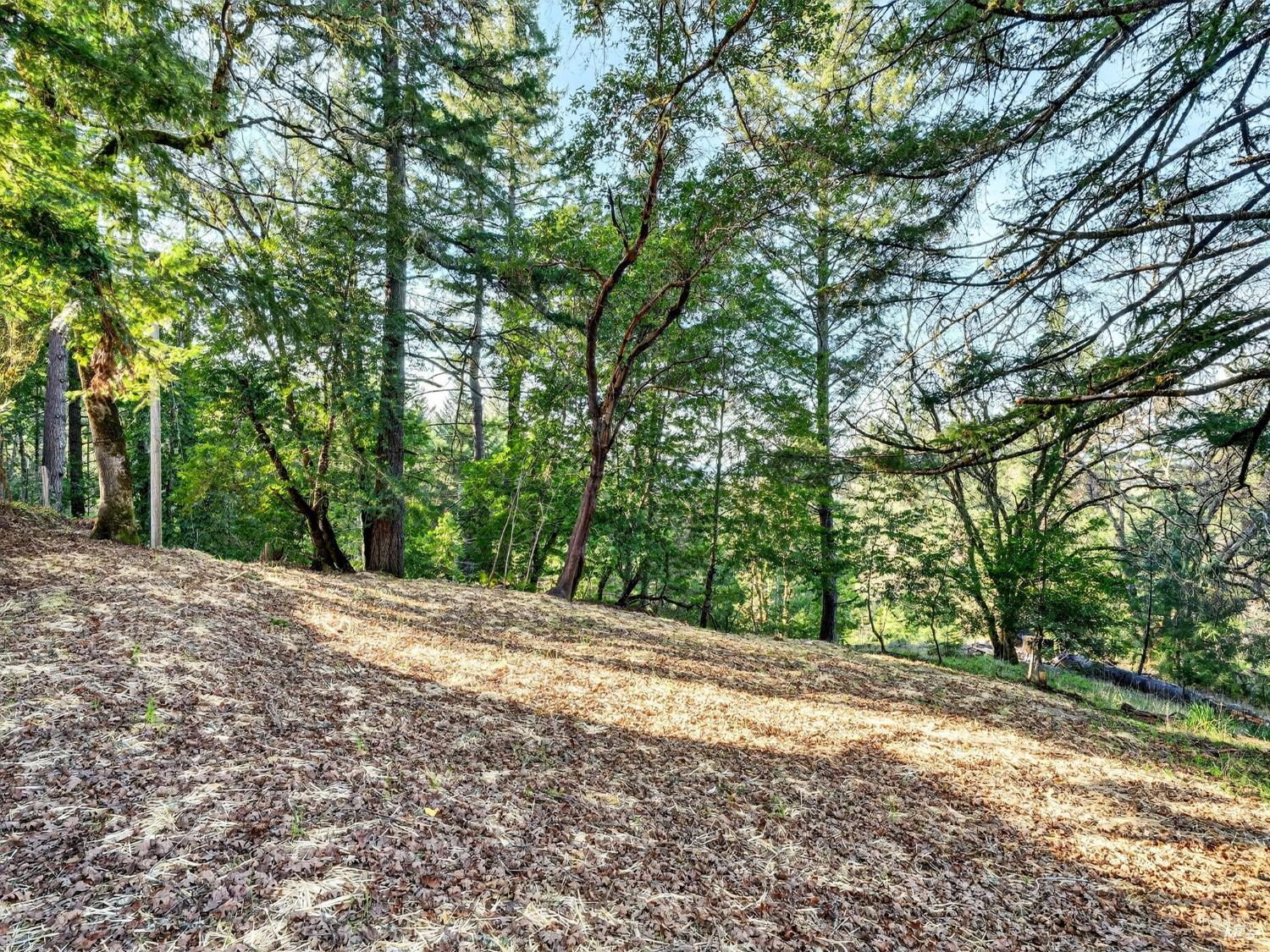 Detail Gallery Image 43 of 52 For 10701 Orr Springs Rd, Ukiah,  CA 95482 - 2 Beds | 1 Baths