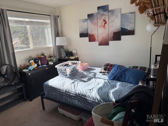 Detail Gallery Image 6 of 15 For 1916 Knolls Dr, Santa Rosa,  CA 95405 - 2 Beds | 1/1 Baths