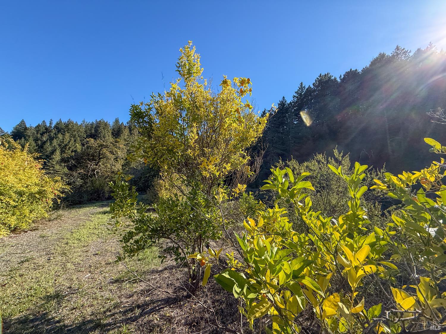 Detail Gallery Image 30 of 41 For 2300 Brack Rd, Healdsburg,  CA 95448 - 3 Beds | 2 Baths