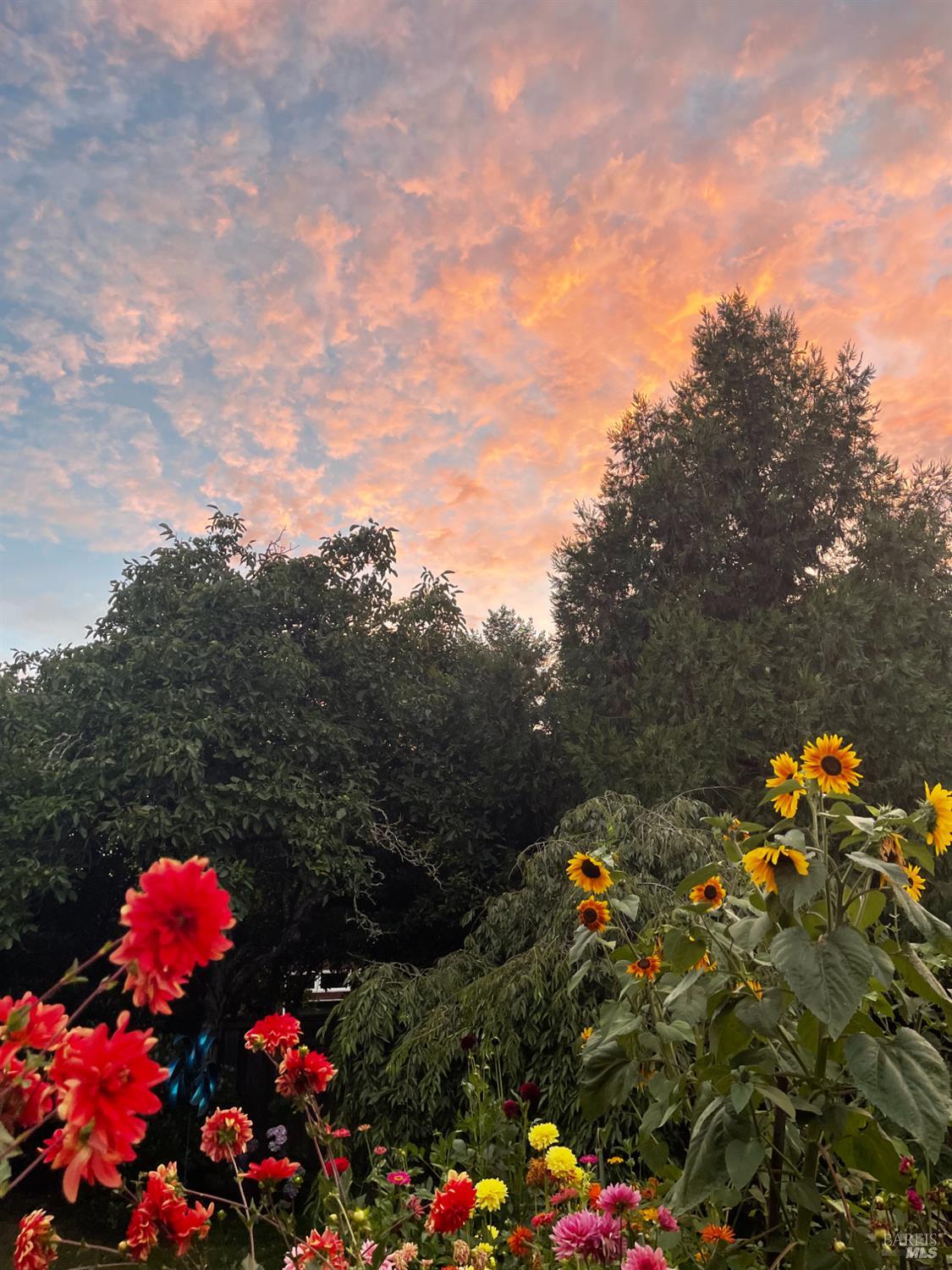 Detail Gallery Image 50 of 69 For 1417 Deer Ln, Sebastopol,  CA 95472 - 4 Beds | 2/1 Baths