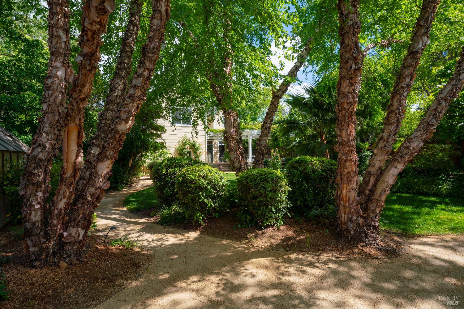 Detail Gallery Image 47 of 47 For 1330 Pine St, Saint Helena,  CA 94574 - 4 Beds | 3/1 Baths