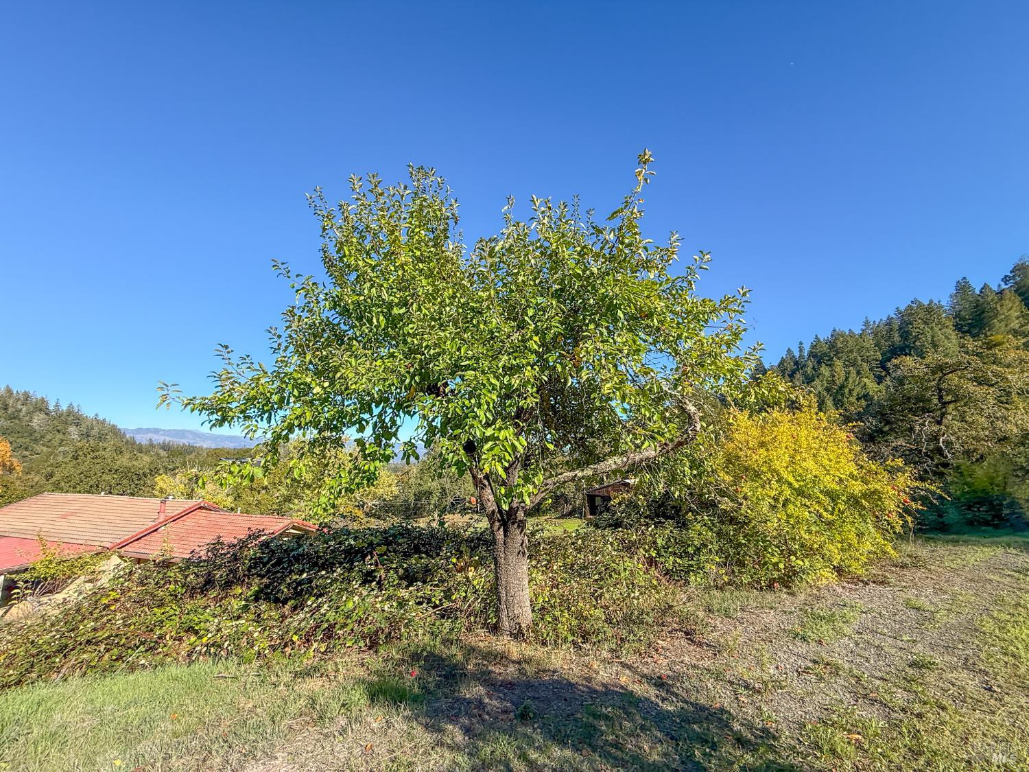 Detail Gallery Image 31 of 41 For 2300 Brack Rd, Healdsburg,  CA 95448 - 3 Beds | 2 Baths