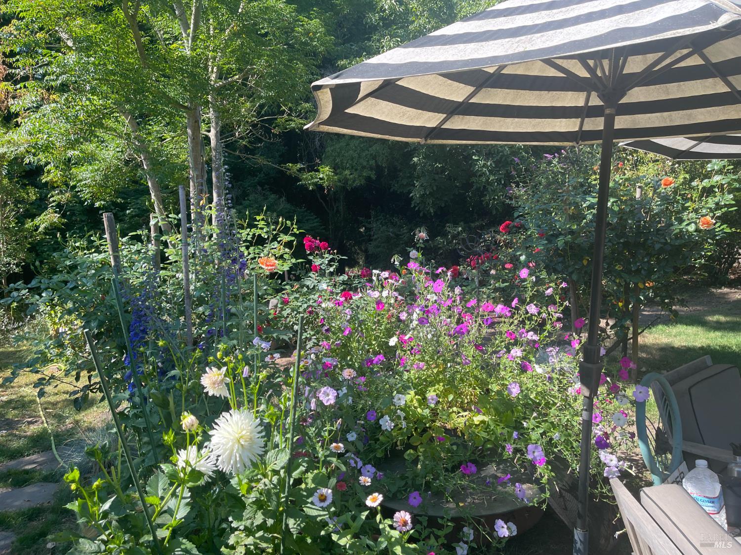 Detail Gallery Image 48 of 69 For 1417 Deer Ln, Sebastopol,  CA 95472 - 4 Beds | 2/1 Baths