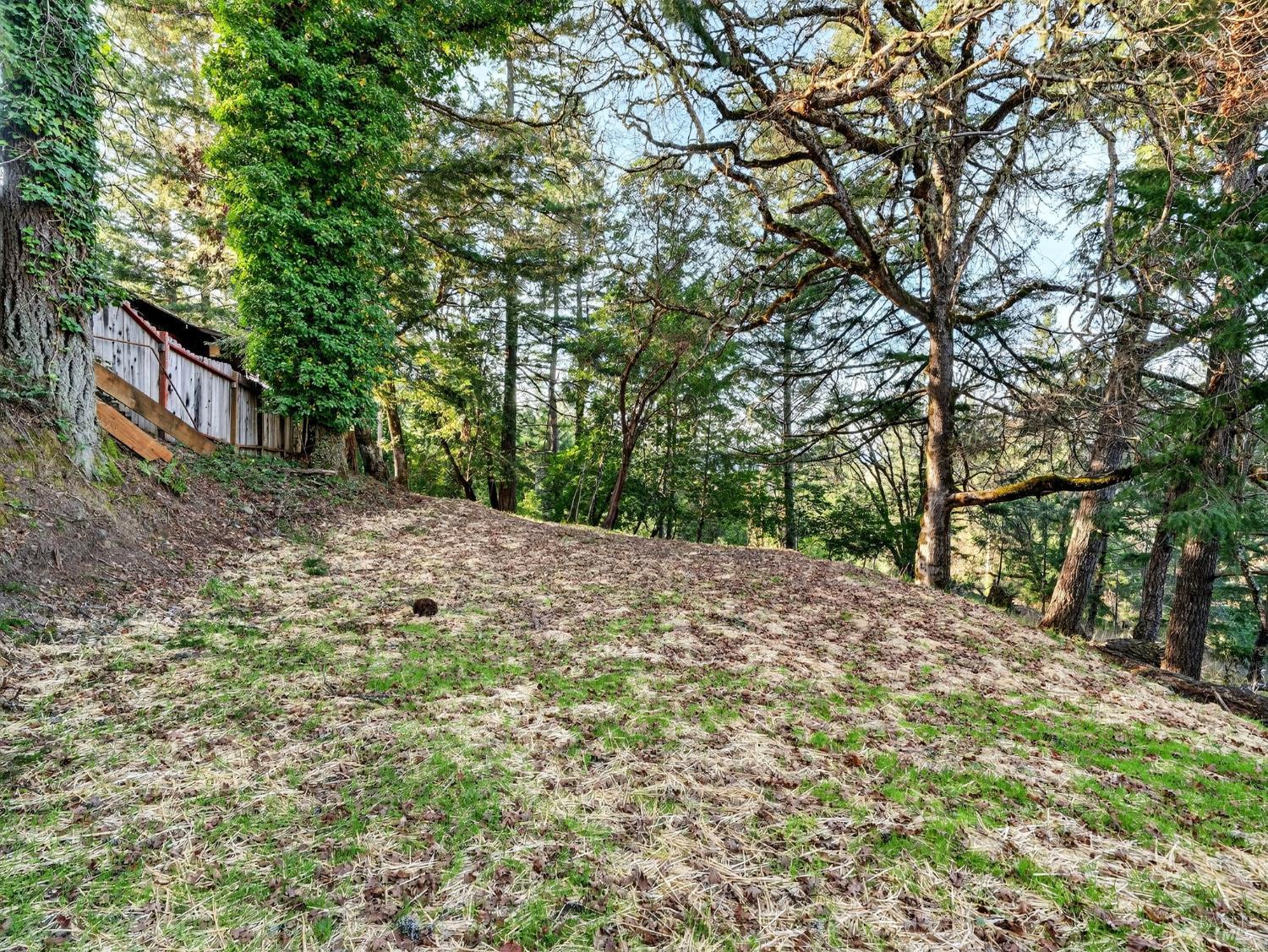 Detail Gallery Image 41 of 52 For 10701 Orr Springs Rd, Ukiah,  CA 95482 - 2 Beds | 1 Baths