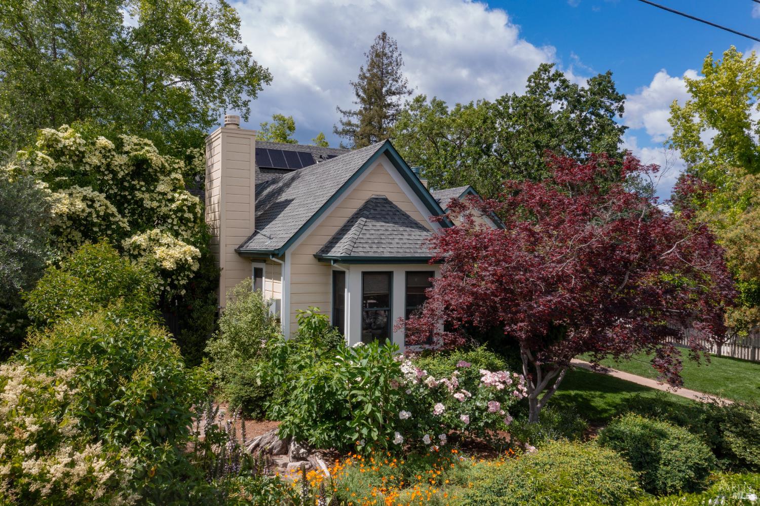 Detail Gallery Image 35 of 47 For 1330 Pine St, Saint Helena,  CA 94574 - 4 Beds | 3/1 Baths