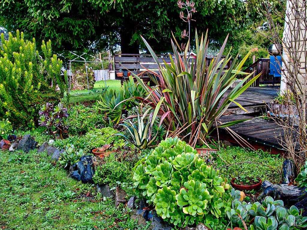 Detail Gallery Image 64 of 72 For 17750 Barbizon Ln, Fort Bragg,  CA 95437 - 3 Beds | 2 Baths