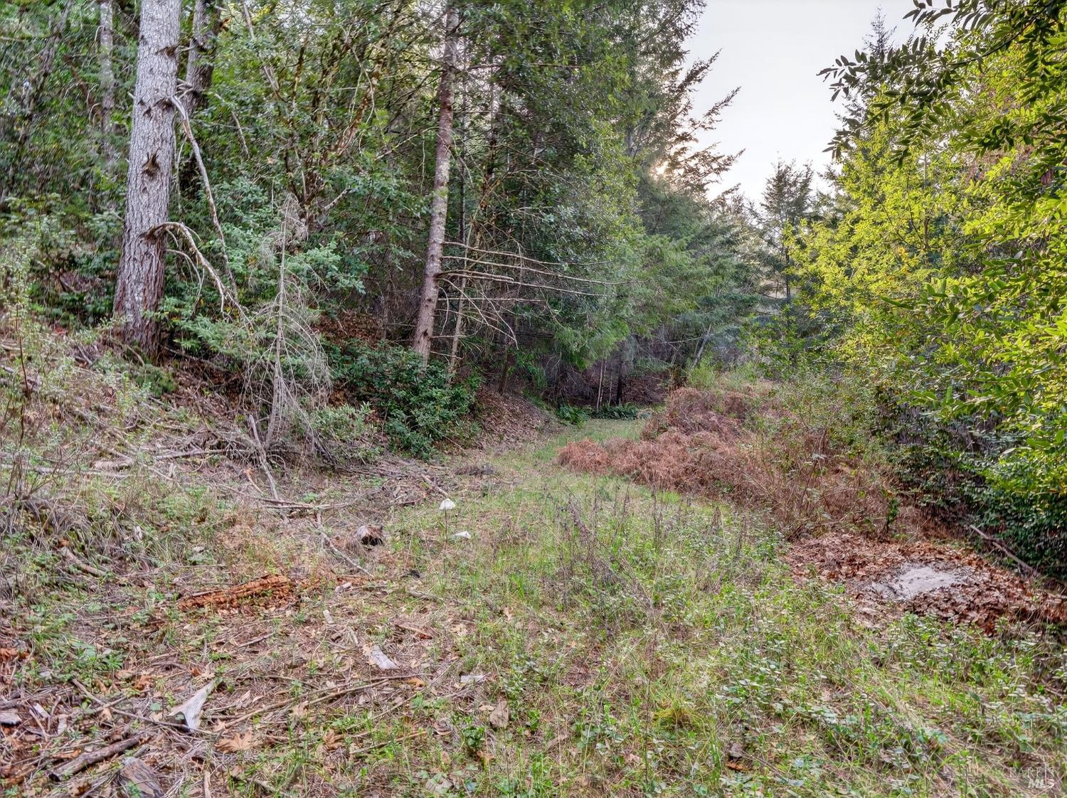 Detail Gallery Image 45 of 52 For 10701 Orr Springs Rd, Ukiah,  CA 95482 - 2 Beds | 1 Baths