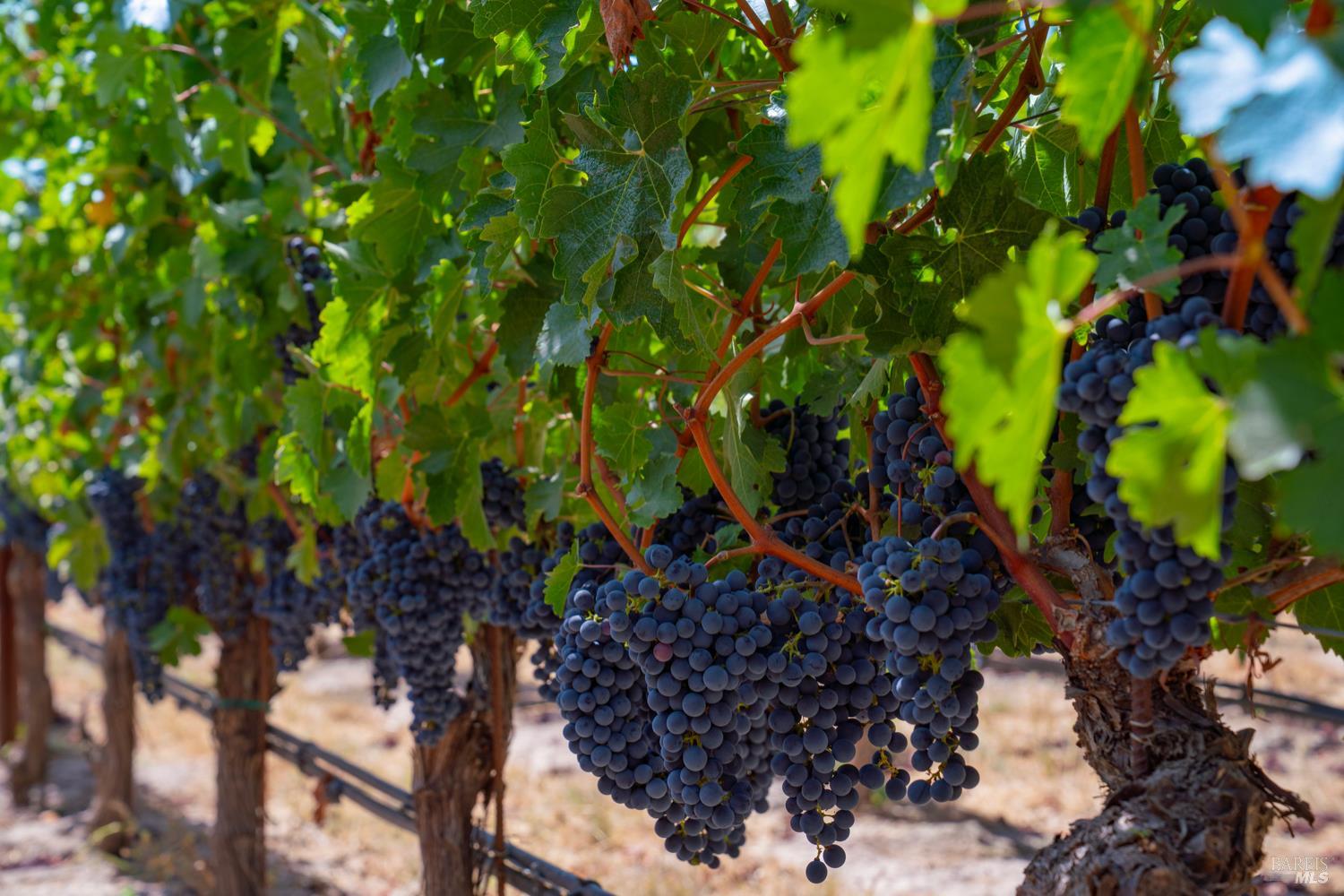 Detail Gallery Image 6 of 30 For 4094 E 3rd Ave, Napa,  CA 94558 - 4 Beds | 2 Baths