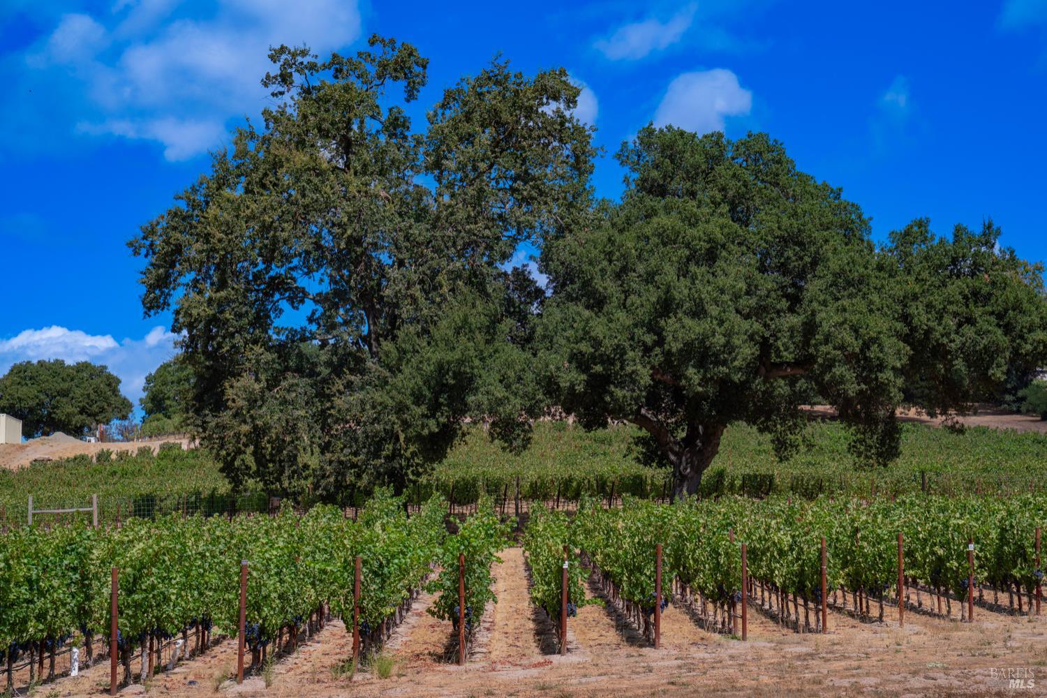 Detail Gallery Image 19 of 30 For 4094 E 3rd Ave, Napa,  CA 94558 - 4 Beds | 2 Baths