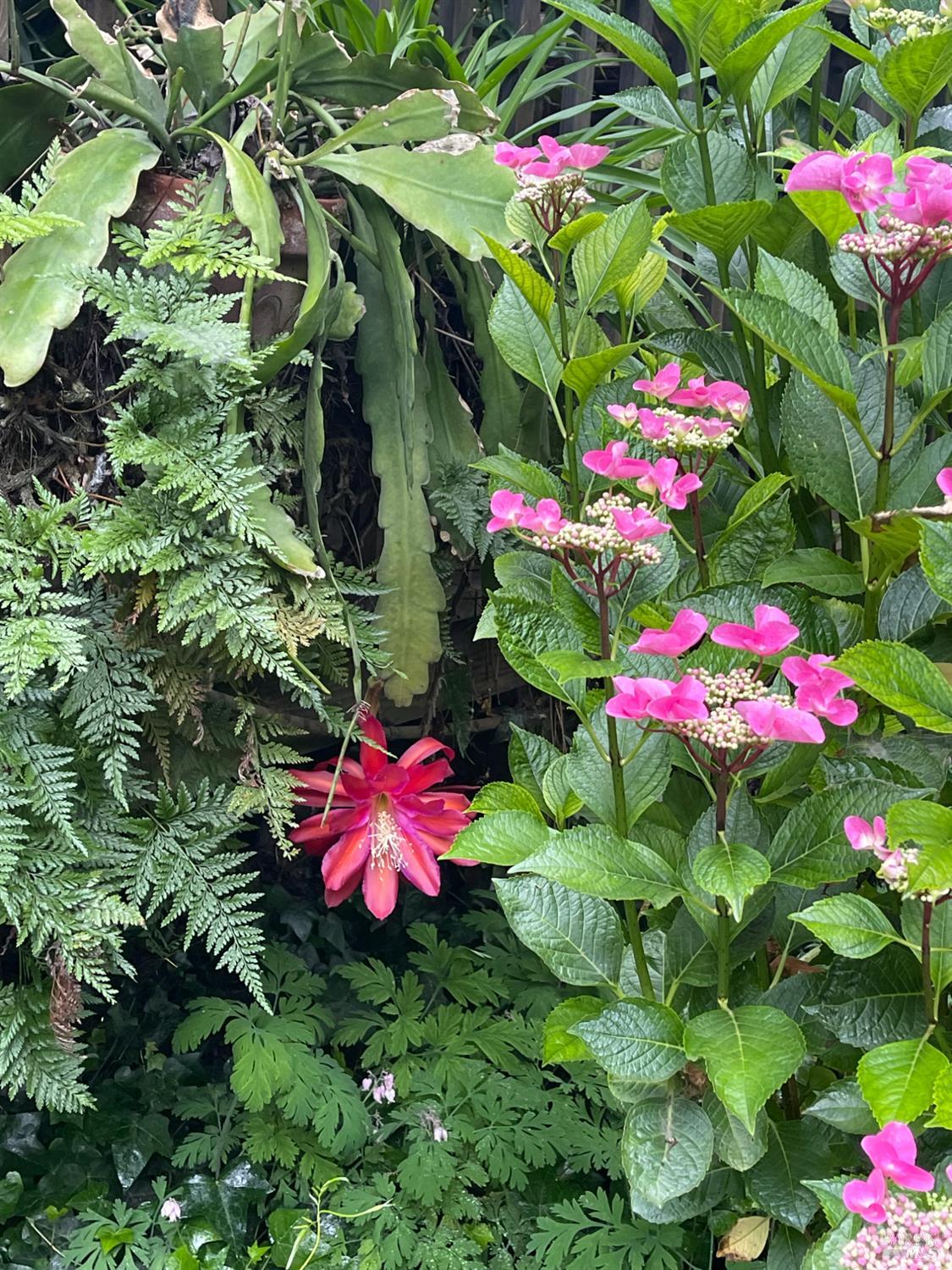 Detail Gallery Image 47 of 69 For 1417 Deer Ln, Sebastopol,  CA 95472 - 4 Beds | 2/1 Baths