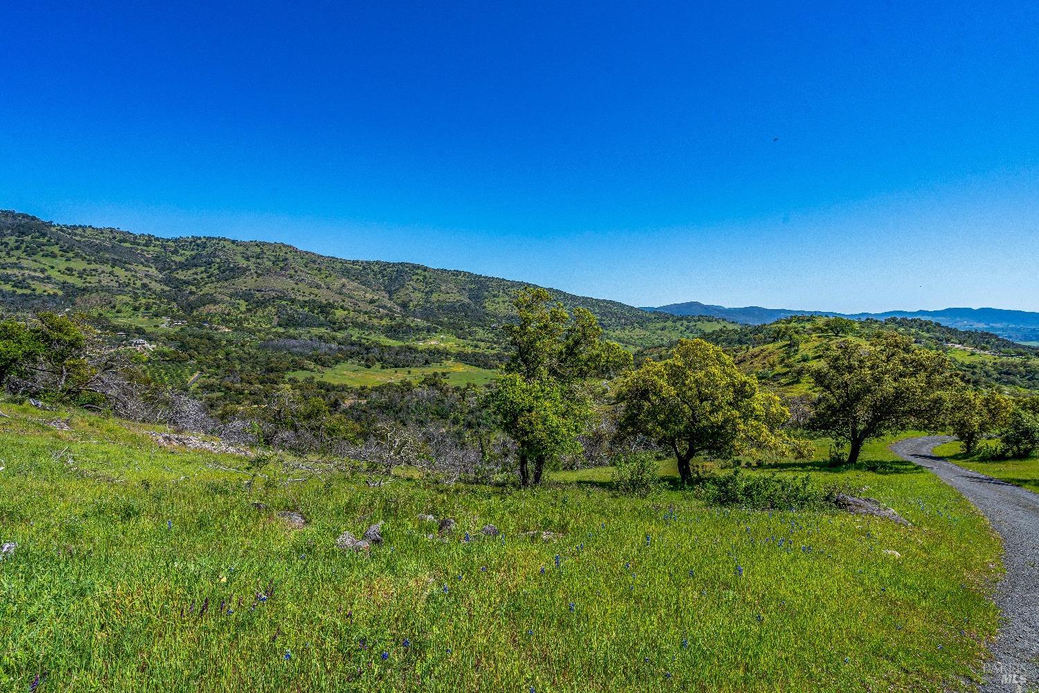 Detail Gallery Image 12 of 26 For 2077 Soda Canyon Rd, Napa,  CA 94558 - – Beds | – Baths