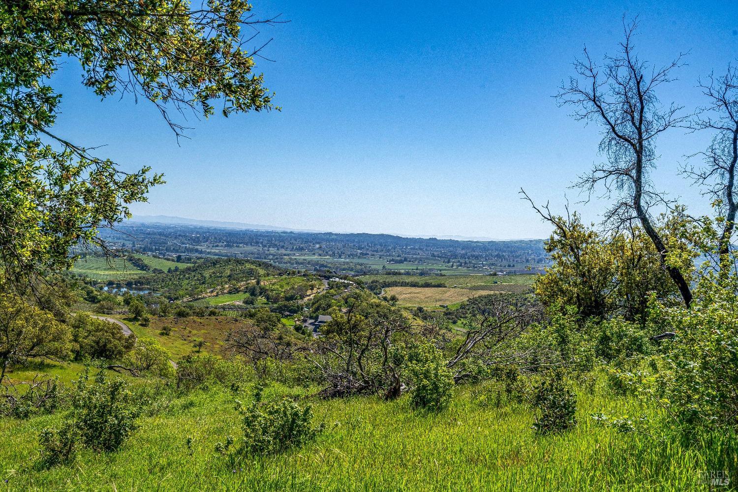 Detail Gallery Image 22 of 26 For 2077 Soda Canyon Rd, Napa,  CA 94558 - – Beds | – Baths