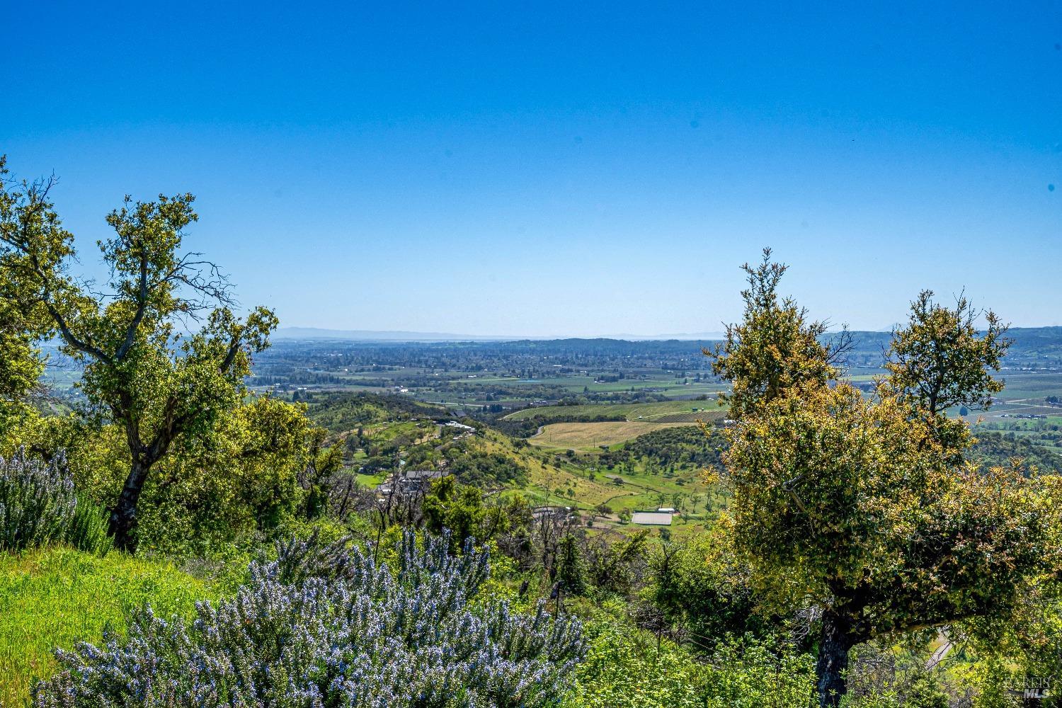 Detail Gallery Image 19 of 26 For 2077 Soda Canyon Rd, Napa,  CA 94558 - – Beds | – Baths