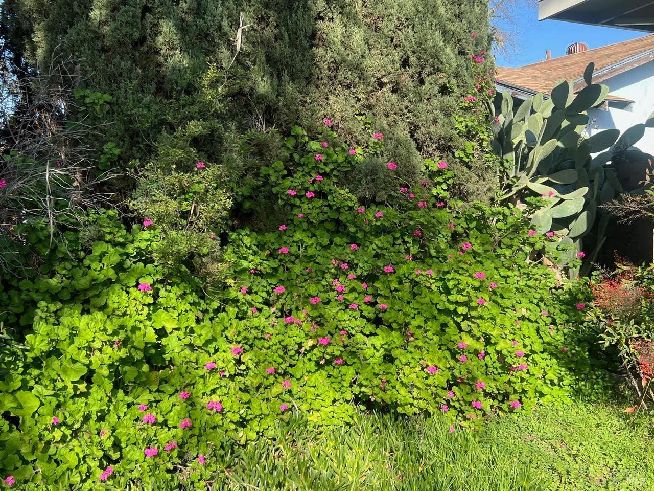 Detail Gallery Image 15 of 16 For 1850 San Juan St, Fairfield,  CA 94533 - 3 Beds | 2 Baths