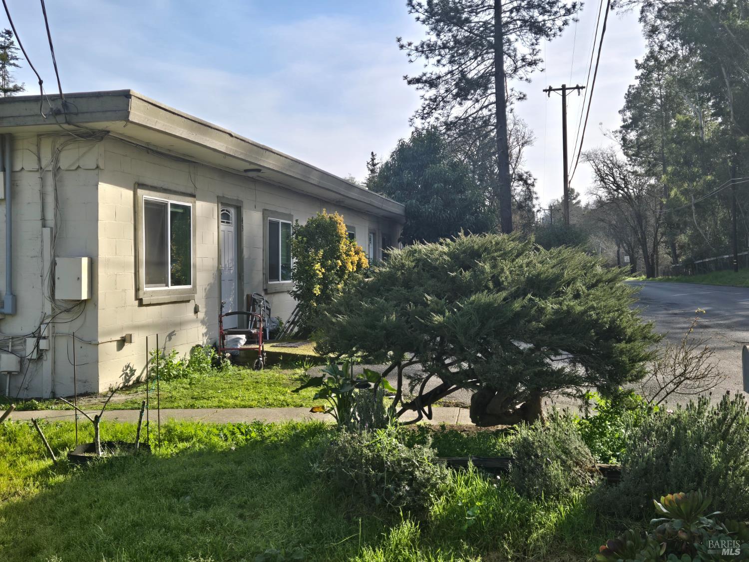 Detail Gallery Image 5 of 5 For 41 Sparkes Rd, Sebastopol,  CA 95472 - – Beds | – Baths