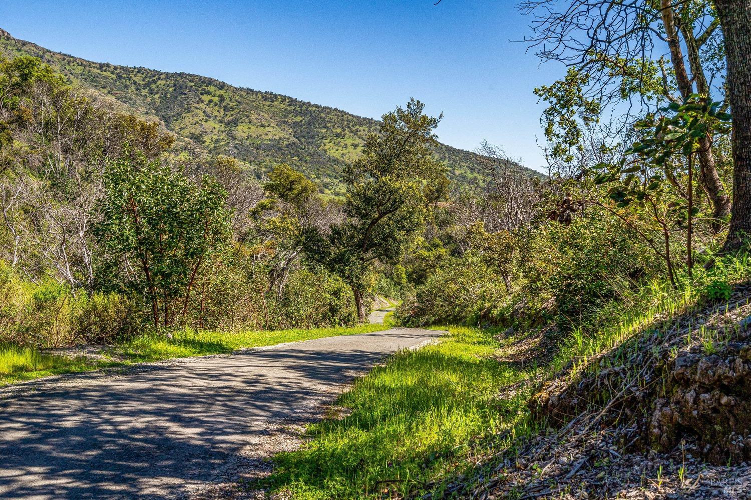 Detail Gallery Image 13 of 26 For 2077 Soda Canyon Rd, Napa,  CA 94558 - – Beds | – Baths