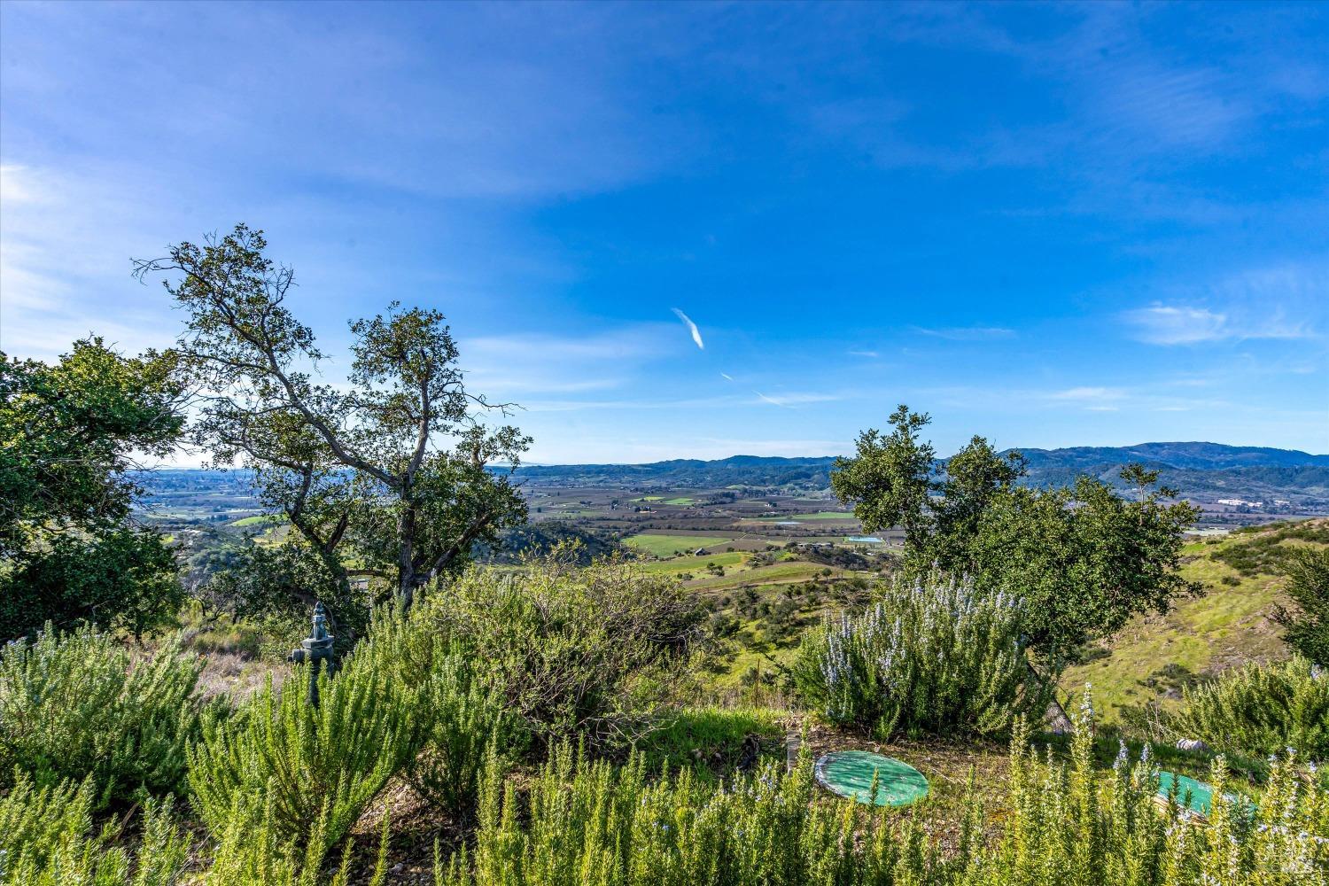 Detail Gallery Image 23 of 26 For 2077 Soda Canyon Rd, Napa,  CA 94558 - – Beds | – Baths