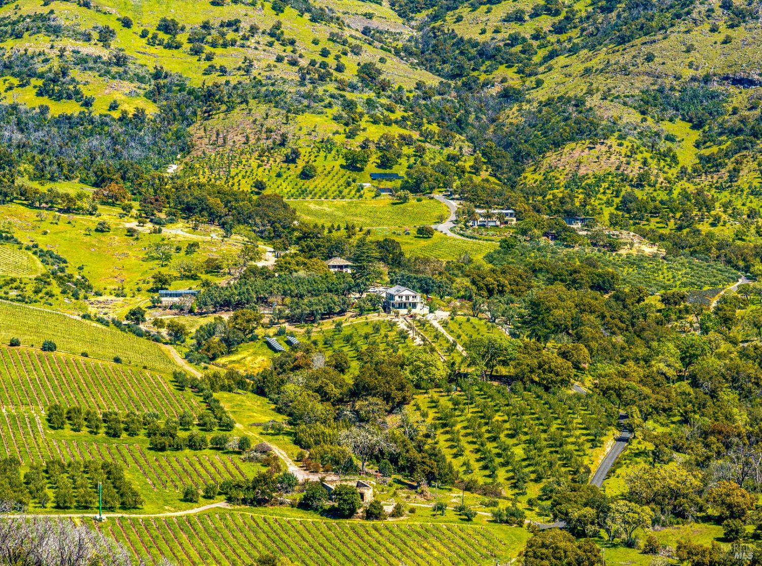 Detail Gallery Image 24 of 26 For 2077 Soda Canyon Rd, Napa,  CA 94558 - – Beds | – Baths