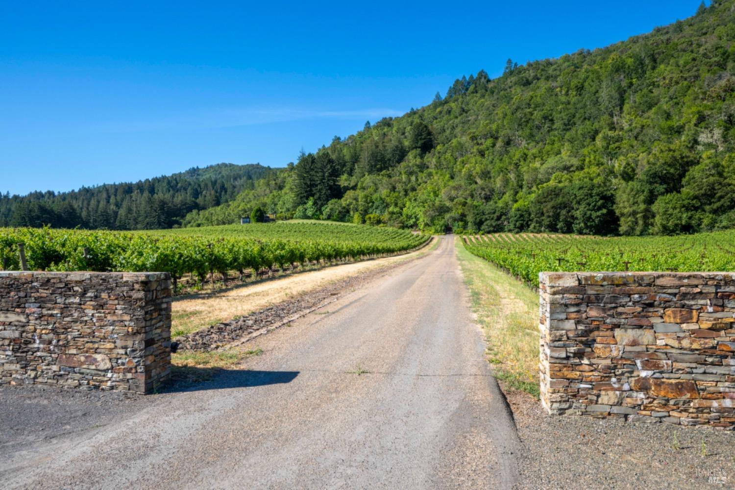 Detail Gallery Image 50 of 51 For 7596 Sonoma Mountain Rd, Glen Ellen,  CA 95442 - 7 Beds | 6/4 Baths