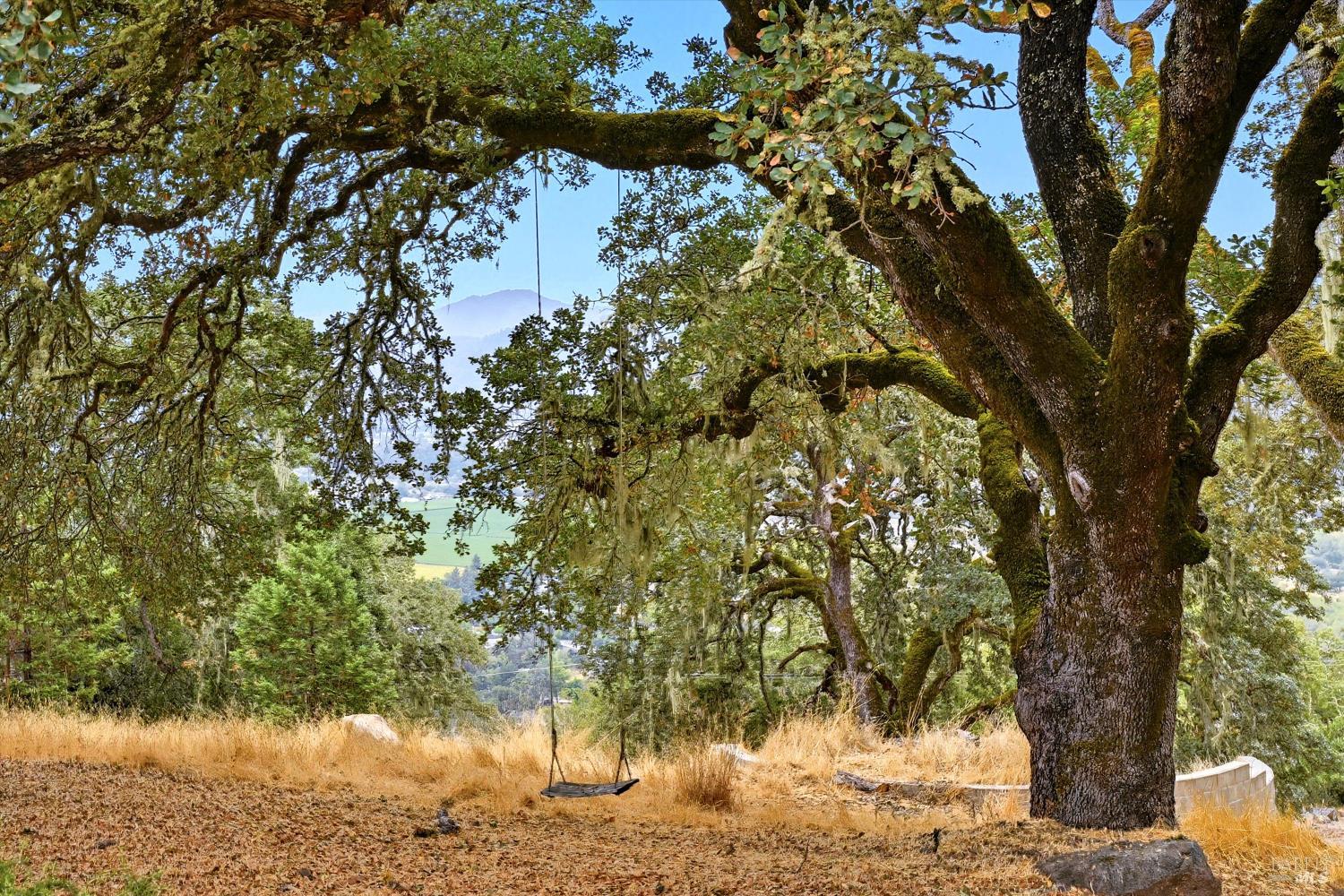 Detail Gallery Image 59 of 64 For 31000 Pine Mountain Rd, Cloverdale,  CA 95425 - 3 Beds | 3 Baths