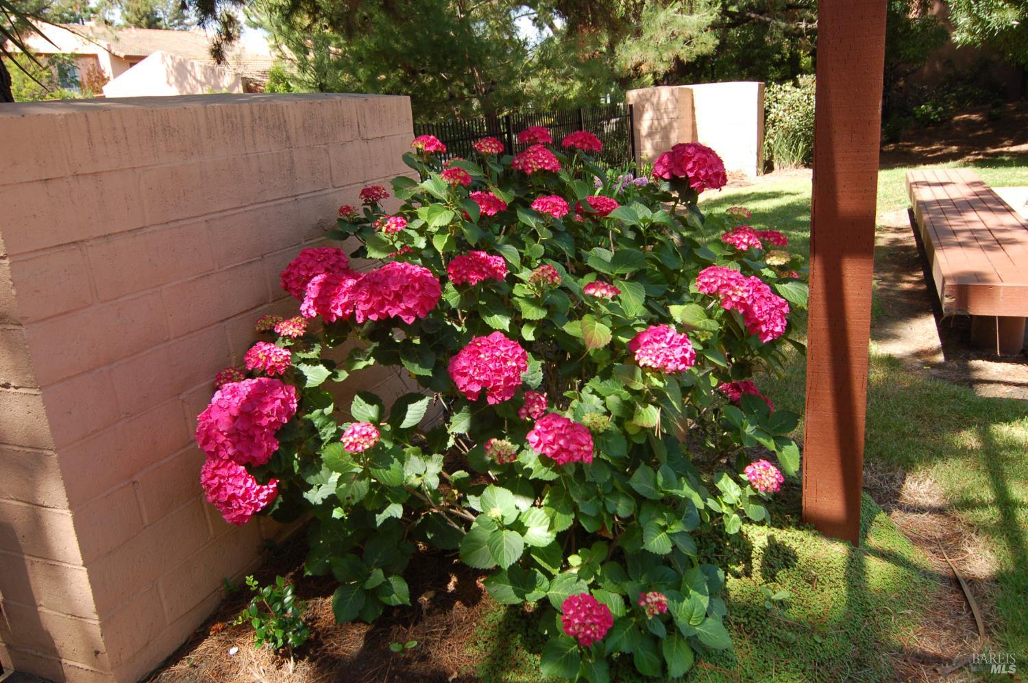 Detail Gallery Image 43 of 50 For 1118 Marina Dr, Napa,  CA 94559 - 2 Beds | 1/1 Baths