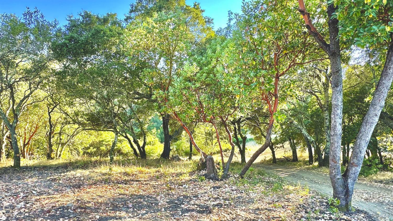 Detail Gallery Image 13 of 26 For 6555 Enterprise Rd, Glen Ellen,  CA 95442 - – Beds | – Baths