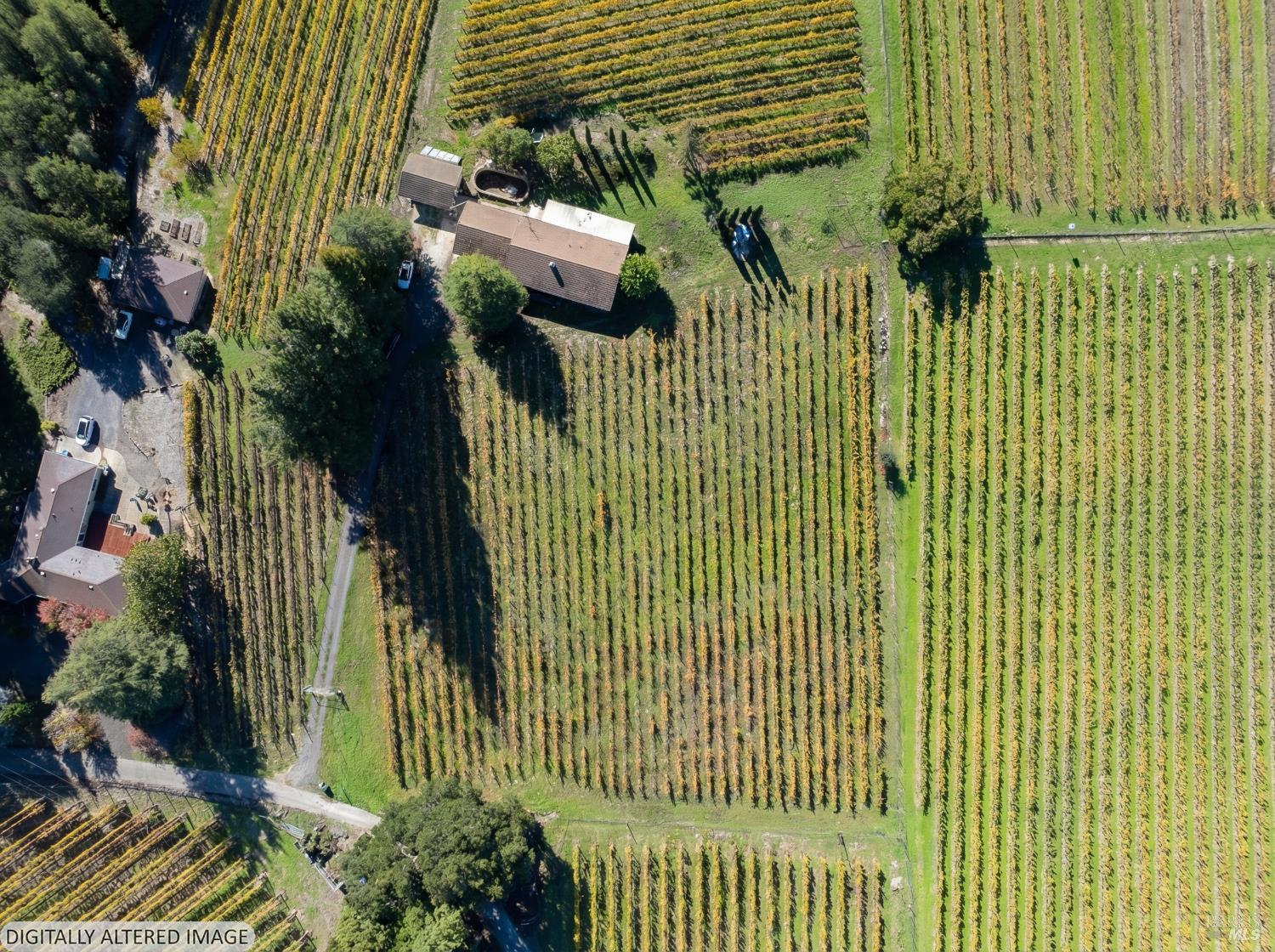 Detail Gallery Image 15 of 21 For 5555 Rio Vida Ln, Sebastopol,  CA 95472 - 3 Beds | 2 Baths