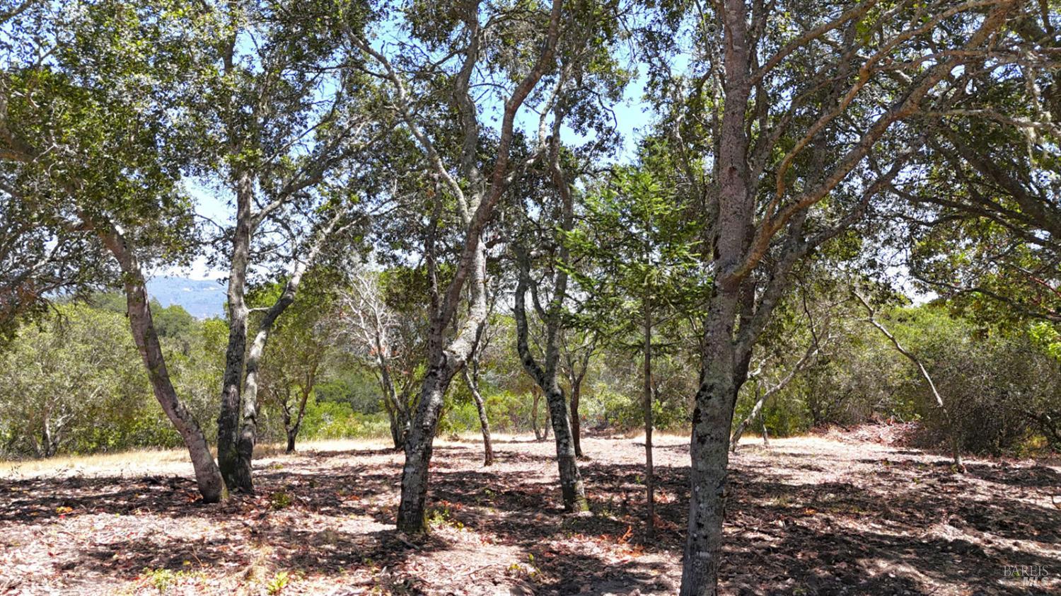 Detail Gallery Image 7 of 26 For 6555 Enterprise Rd, Glen Ellen,  CA 95442 - – Beds | – Baths