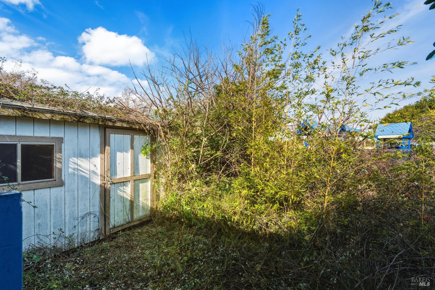 Detail Gallery Image 16 of 19 For 921 Jones St, Berkeley,  CA 94710 - 2 Beds | 1 Baths