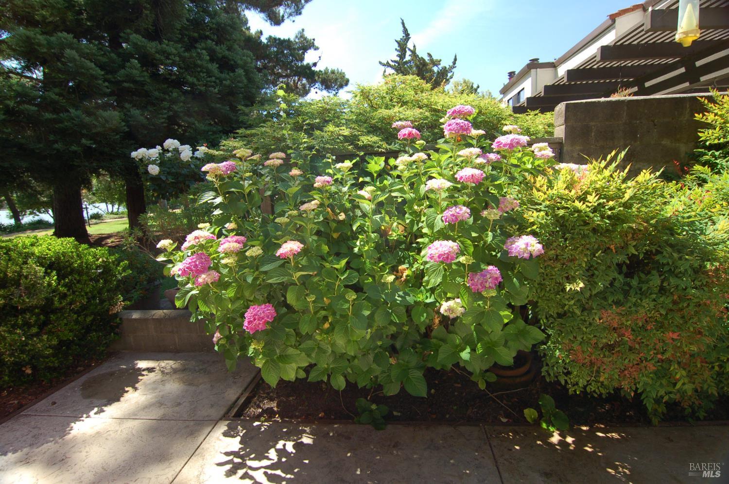 Detail Gallery Image 44 of 50 For 1118 Marina Dr, Napa,  CA 94559 - 2 Beds | 1/1 Baths