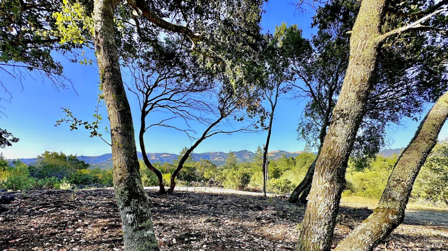 Detail Gallery Image 8 of 26 For 6555 Enterprise Rd, Glen Ellen,  CA 95442 - – Beds | – Baths