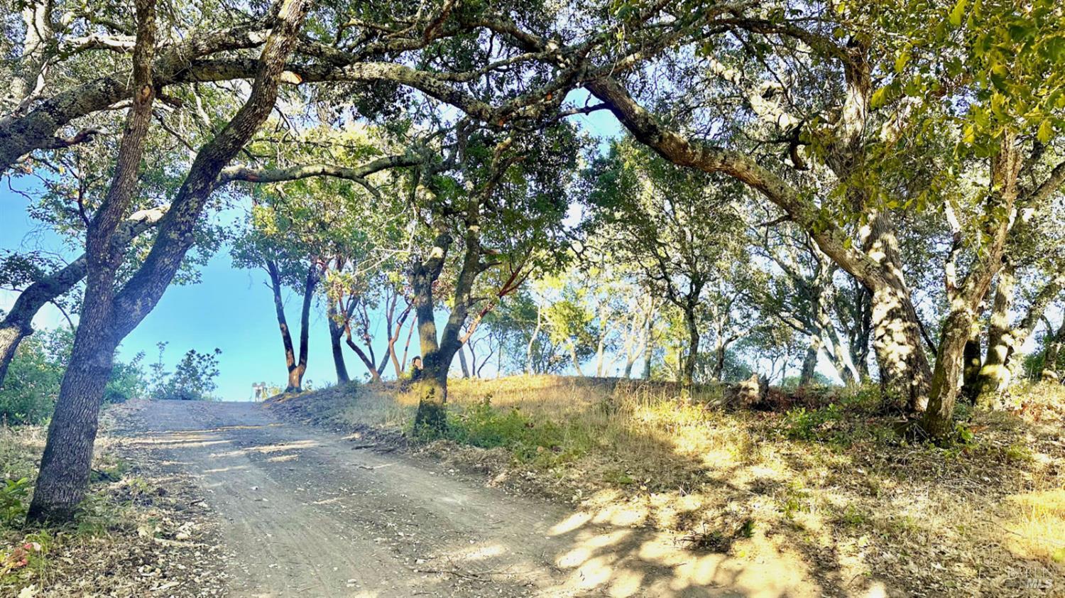 Detail Gallery Image 14 of 26 For 6555 Enterprise Rd, Glen Ellen,  CA 95442 - – Beds | – Baths