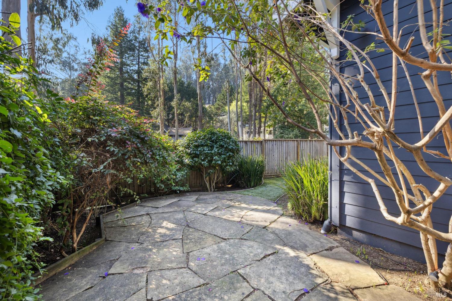 Detail Gallery Image 52 of 68 For 529 Alta Way, Mill Valley,  CA 94941 - 4 Beds | 2/1 Baths