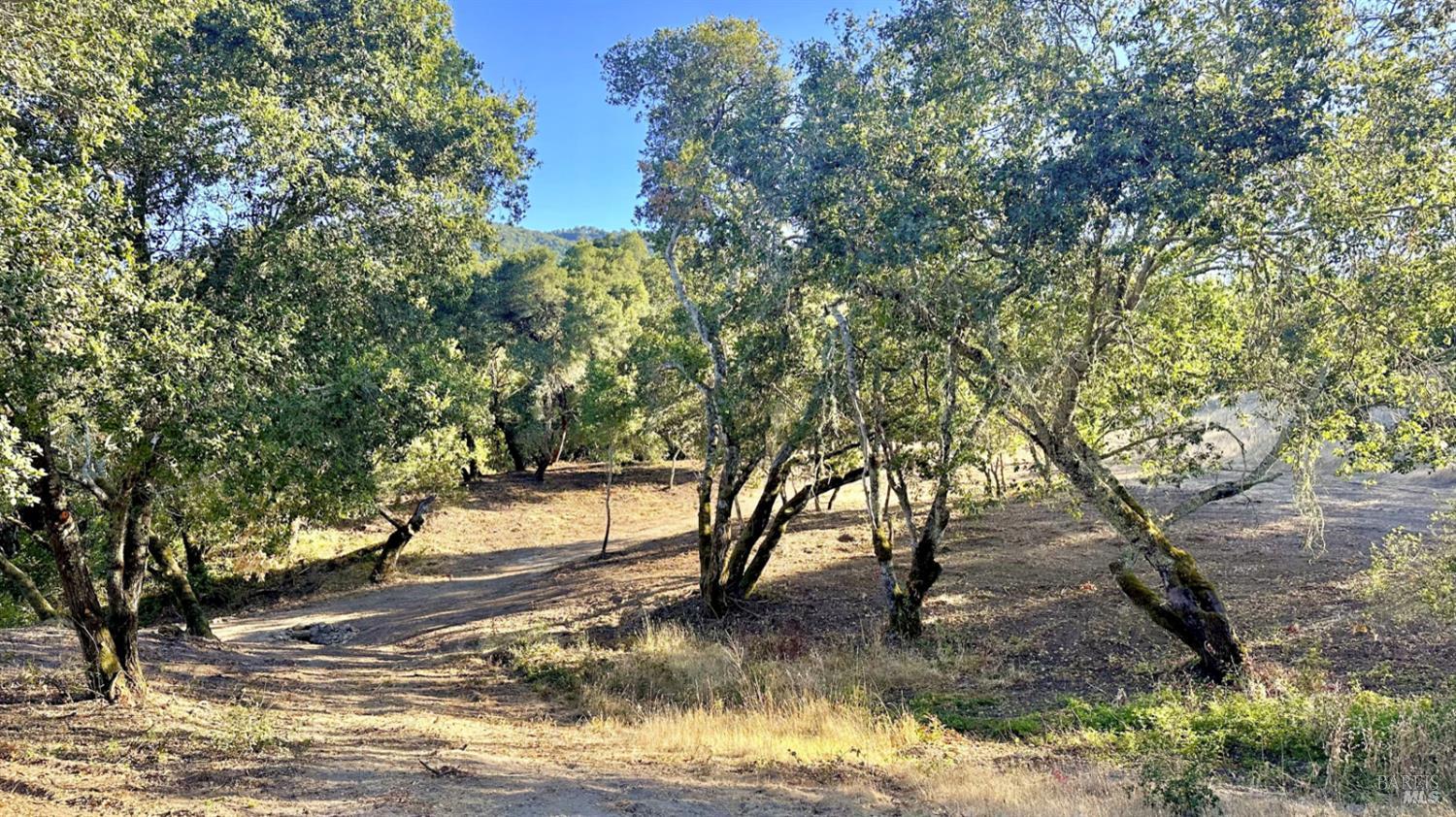 Detail Gallery Image 17 of 28 For 6555 Enterprise Rd, Glen Ellen,  CA 95442 - – Beds | – Baths