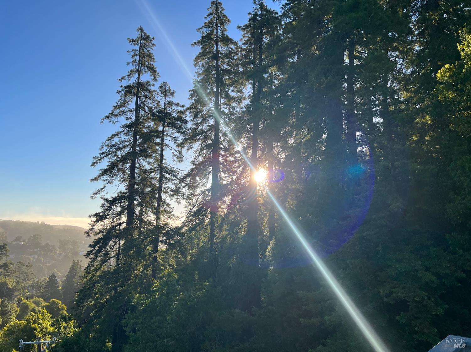 Detail Gallery Image 36 of 41 For 70 Madrone Park Cir, Mill Valley,  CA 94941 - 4 Beds | 2/1 Baths